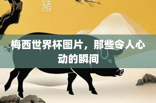 梅西世界杯图片，那些令人心动的瞬间