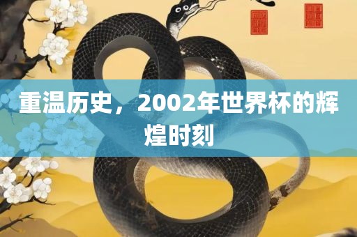 重温历史，2002年世界杯的辉煌时刻
