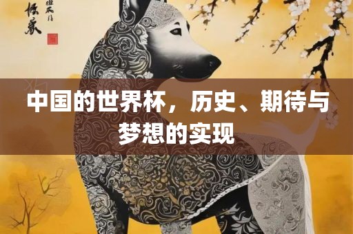 中国的世界杯，历史、期待与梦想的实现
