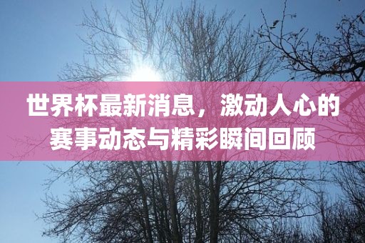 世界杯最新消息，激动人心的赛事动态与精彩瞬间回顾眉山市正发家政服务有限公司