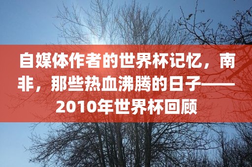 自媒体作者的世界杯记忆，南非，那些热血沸腾的日子——2010年世界杯回顾