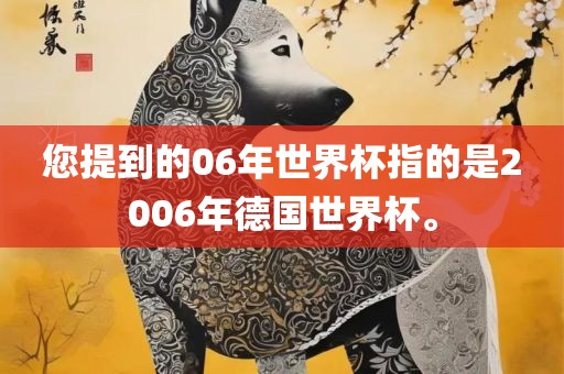 您提到的06年世界杯指的是2006年德国世界杯。