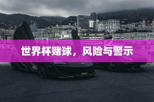 世界杯赌球，风险与警示