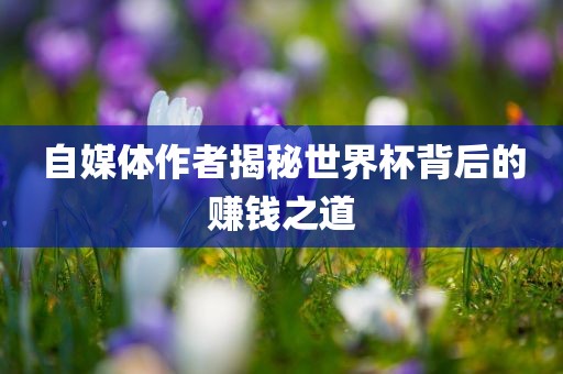 自媒体作者揭秘世界杯背后的赚钱之道