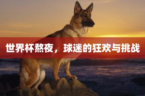 世界杯熬夜，球迷的狂欢与挑战