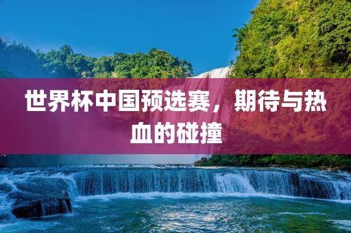 世界杯中国预选赛，期待与热血的碰撞
