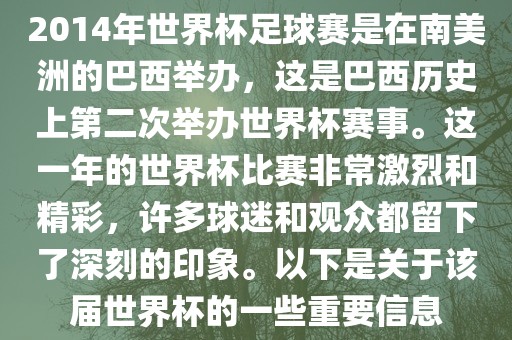 2014年世界杯足球赛是在南美洲的巴西举办，这是巴西历史上第二次举办世界杯赛事。这一年的世界杯比赛非常激烈和精彩，许多球迷和观众都留下了深刻的印象。以下是关于该届世界杯的一些重要信息