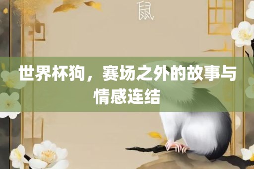 世界杯狗，赛场之外的故事与情感连结