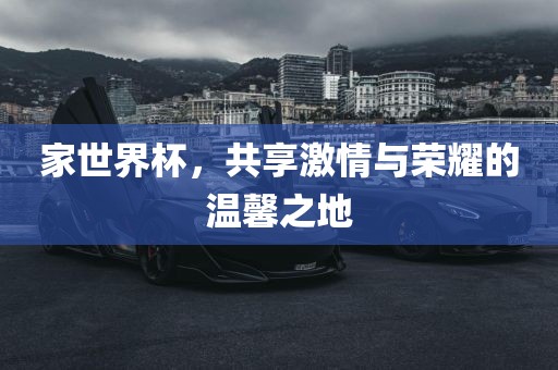 家世界杯，共享激情与荣耀的温馨之地