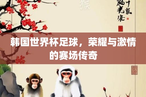 韩国世界杯足球，荣耀与激情的赛场传奇