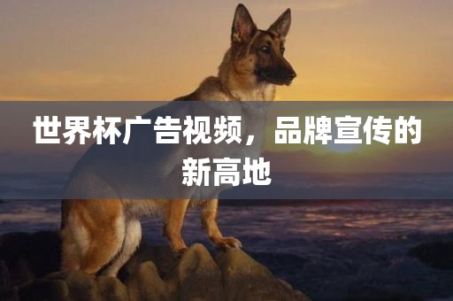 世界杯广告视频，品牌宣传的新高地