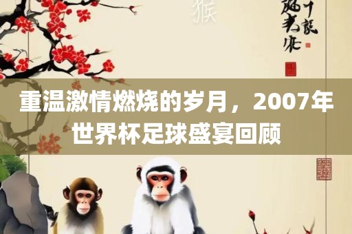 重温激情燃烧的岁月，2007年世界杯足球盛宴回顾