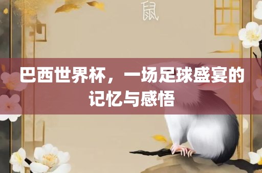 巴西世界杯，一场足球盛宴的记忆与感悟