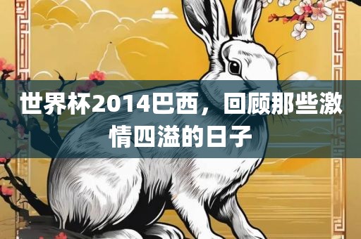 世界杯2014巴西，回顾那些激情四溢的日子