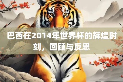 巴西在2014年世界杯的辉煌时刻，回顾与反思
