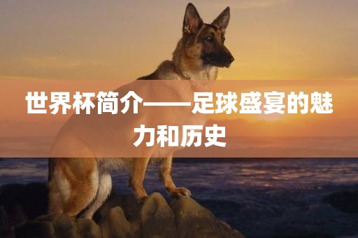 世界杯简介——足球盛宴的魅力和历史眉山市正发家政服务有限公司