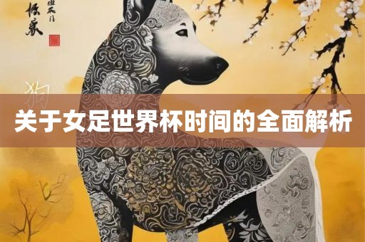 关于女足世界杯时间的全面解析