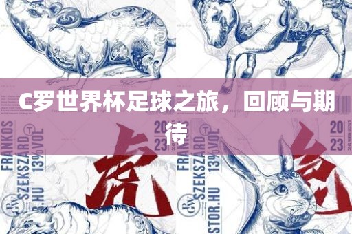 C罗世界杯足球之旅，回顾与期待