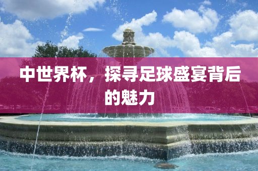 中世界杯，探寻足球盛宴背后的魅力