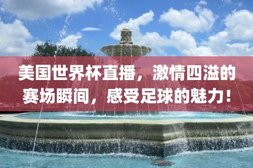 美国世界杯直播，激情四溢的赛场瞬间，感受足球的魅力！