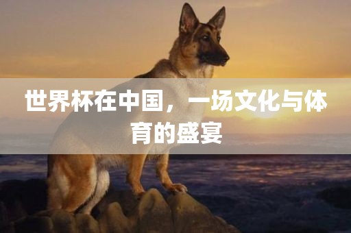 世界杯在中国，一场文化与体育的盛宴