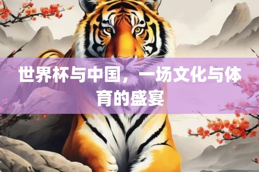 世界杯与中国，一场文化与体育的盛宴