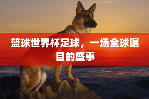 篮球世界杯足球，一场全球瞩目的盛事