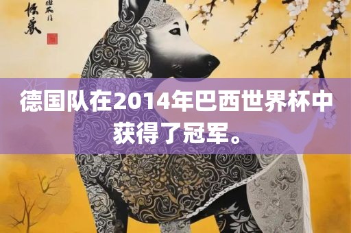 德国队在2014年巴西世界杯中获得了冠军。