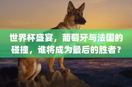 世界杯盛宴，葡萄牙与法国的碰撞，谁将成为最后的胜者？