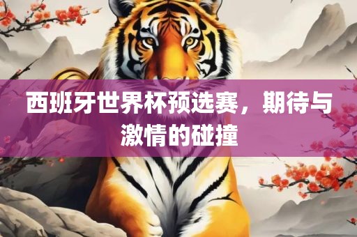西班牙世界杯预选赛，期待与激情的碰撞