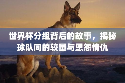 世界杯分组背后的故事，揭秘球队间的较量与恩怨情仇