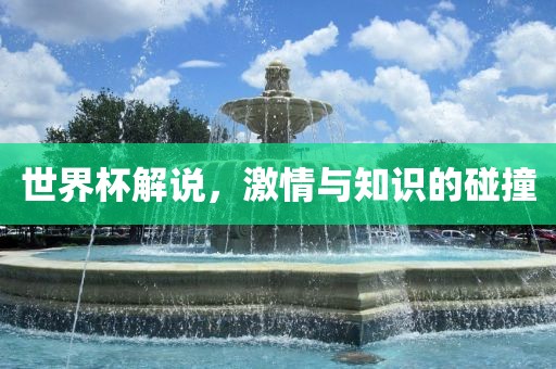 世界杯解说，激情与知识的碰撞