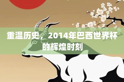 重温历史，2014年巴西世界杯的辉煌时刻