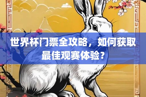 世界杯门票全攻略，如何获取最佳观赛体验？