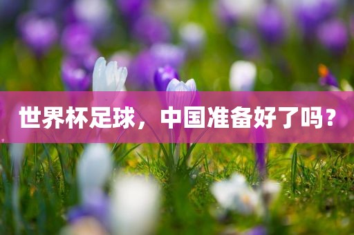 世界杯足球，中国准备好了吗？