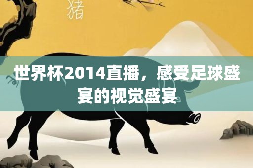 世界杯2014直播，感受足球盛宴的视觉盛宴