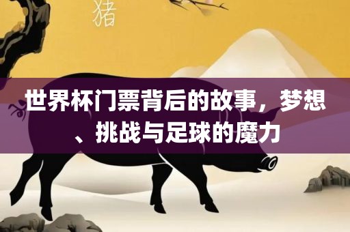 世界杯门票背后的故事，梦想、挑战与足球的魔力