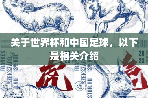 关于世界杯和中国足球，以下是相关介绍