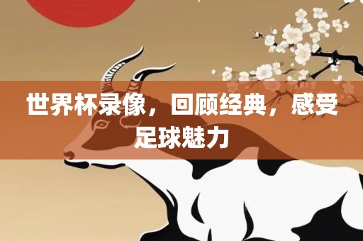 世界杯录像，回顾经典，感受足球魅力
