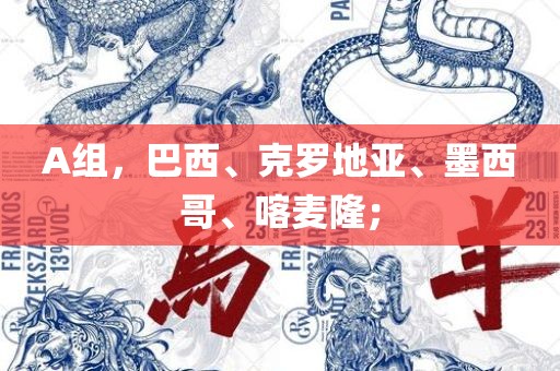A组，巴西、克罗地亚、墨西哥、喀麦隆；