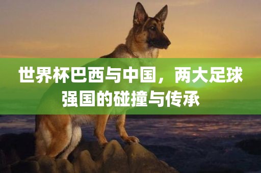 世界杯巴西与中国，两大足球强国的碰撞与传承