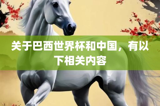 关于巴西世界杯和中国，有以下相关内容