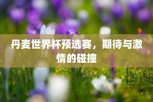 丹麦世界杯预选赛，期待与激情的碰撞