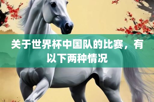 关于世界杯中国队的比赛，有以下两种情况