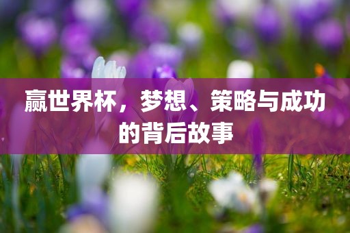 赢世界杯，梦想、策略与成功的背后故事