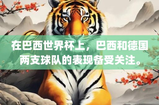 在巴西世界杯上，巴西和德国两支球队的表现备受关注。