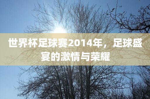 世界杯足球赛2014年，足球盛宴的激情与荣耀