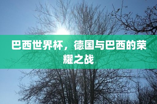巴西世界杯，德国与巴西的荣耀之战