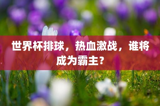 世界杯排球，热血激战，谁将成为霸主？