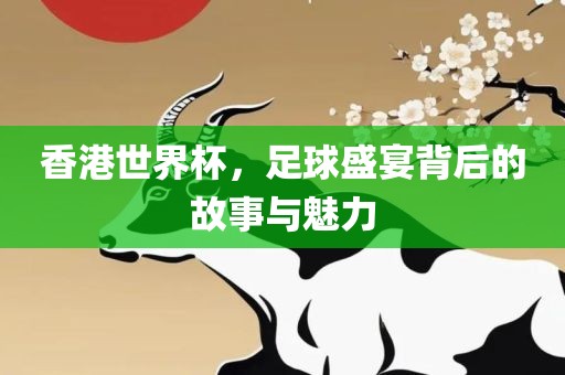 香港世界杯，足球盛宴背后的故事与魅力